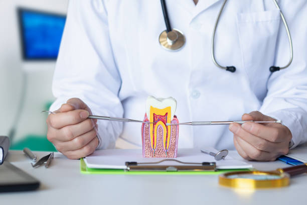 Best Weekend Emergency Dentist in County Center, VA